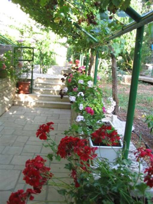 Courtyard