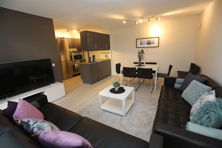 Oslo City center – 3 bedroom apartment. gallery image 5