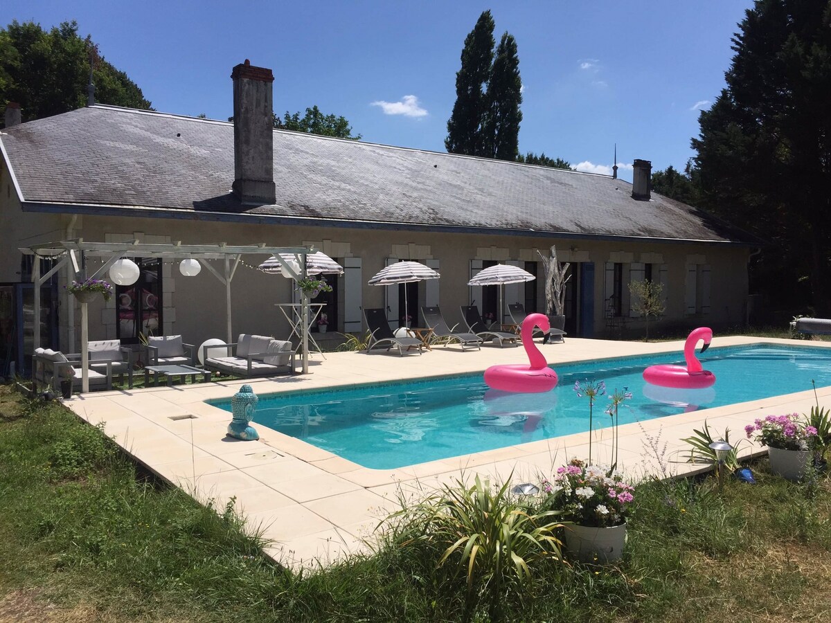 A spacious outdoor area is highlighted by a heated swimming pool surrounded by a tiled patio. Two flamingo floaties rest in the water, while sun loungers and parasols provide shaded seating. Lush greenery and potted flowers add to the relaxing atmosphere.