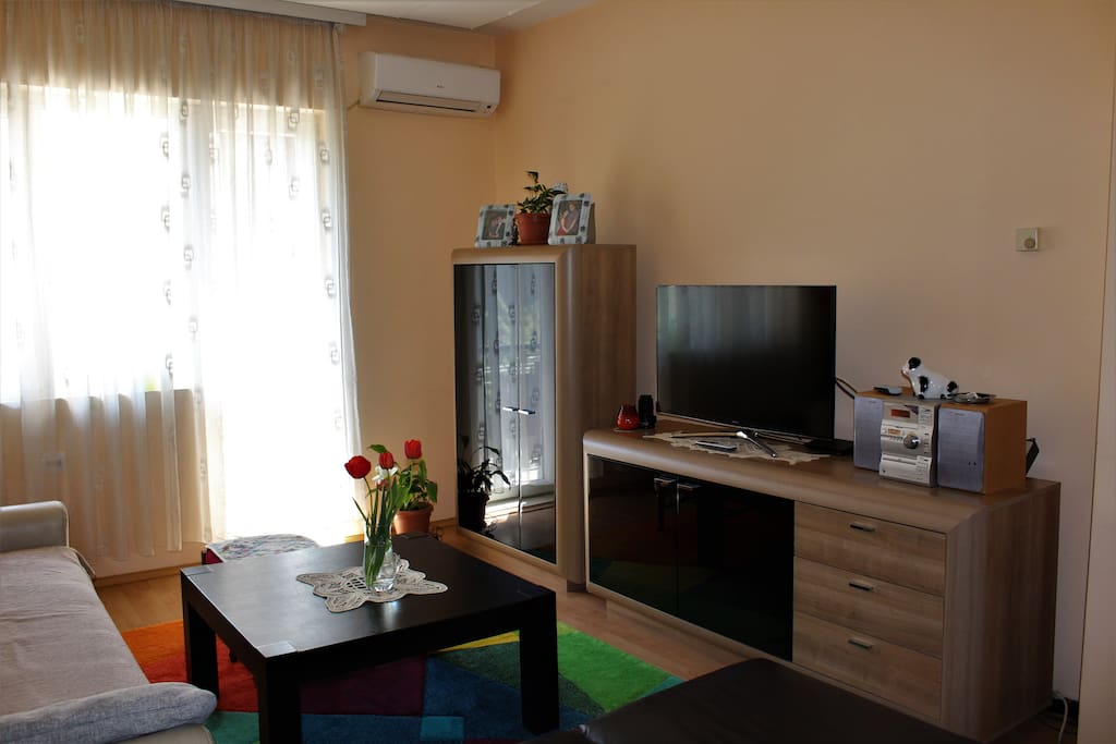 Large living room for afternoon rest