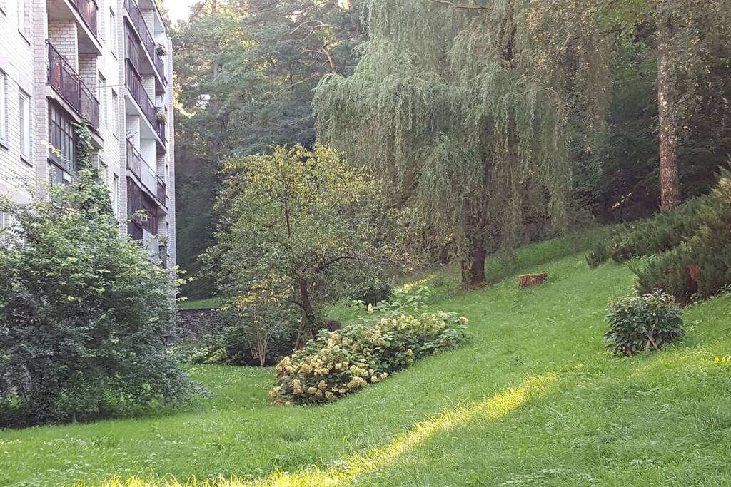 By the house you can spend you time in the park