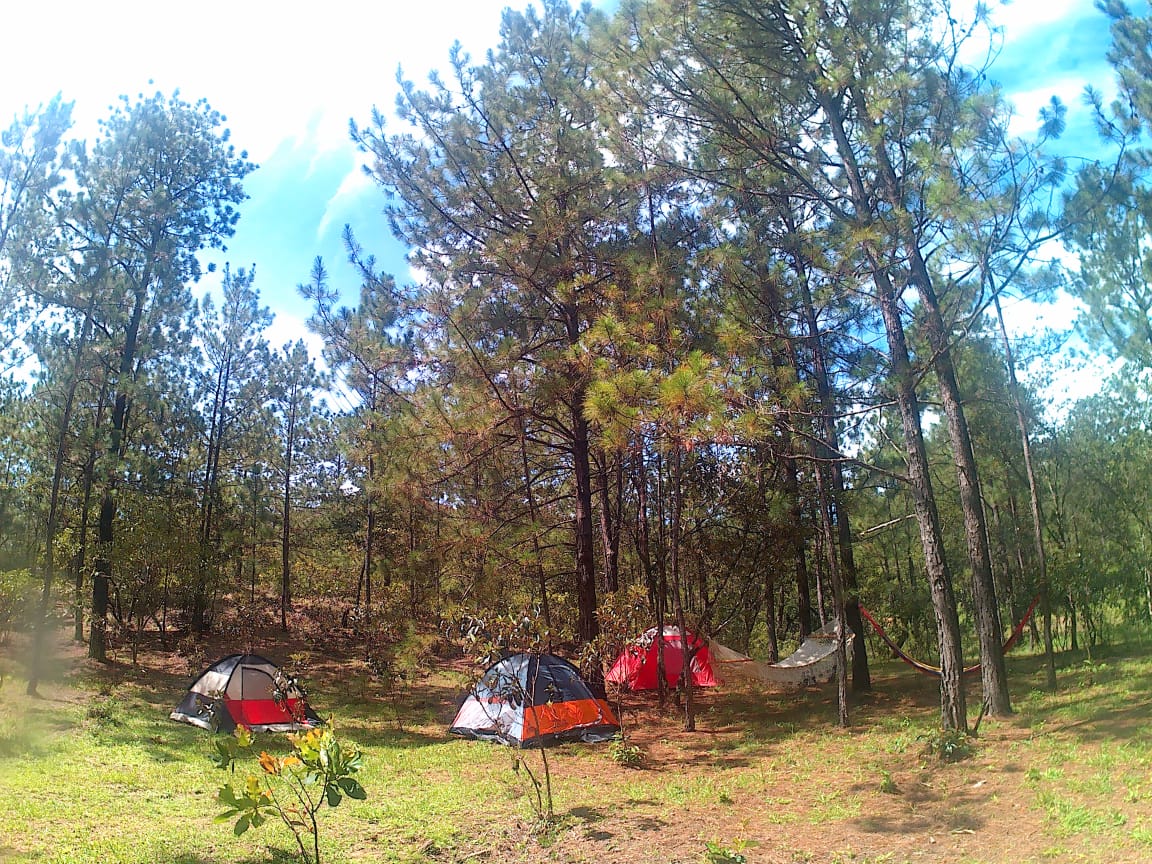 Los Pinos Cabins and Camping (Ecotourism) - Cabins for Rent in Perquín, El  Salvador - Airbnb