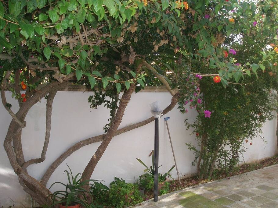 dettaglio esterno