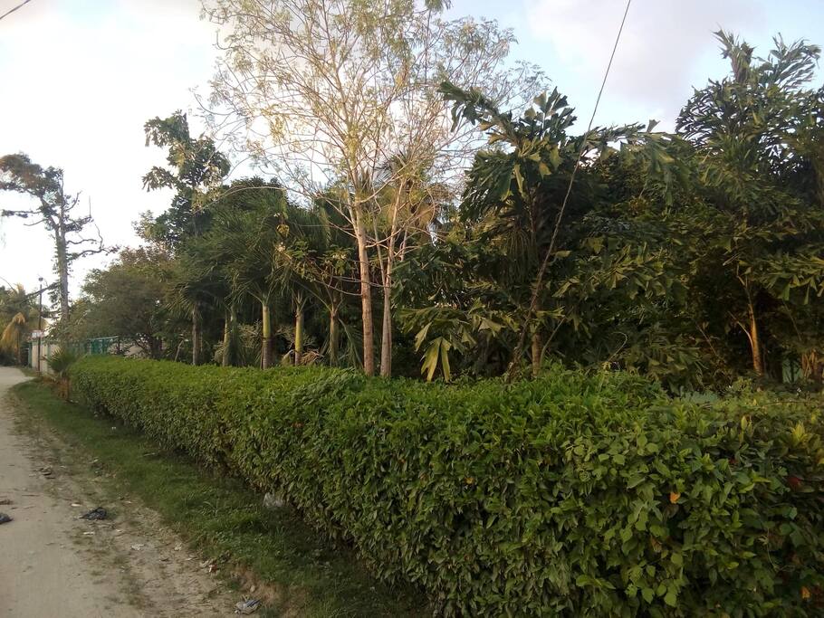 Hacia la carretera CA - 13