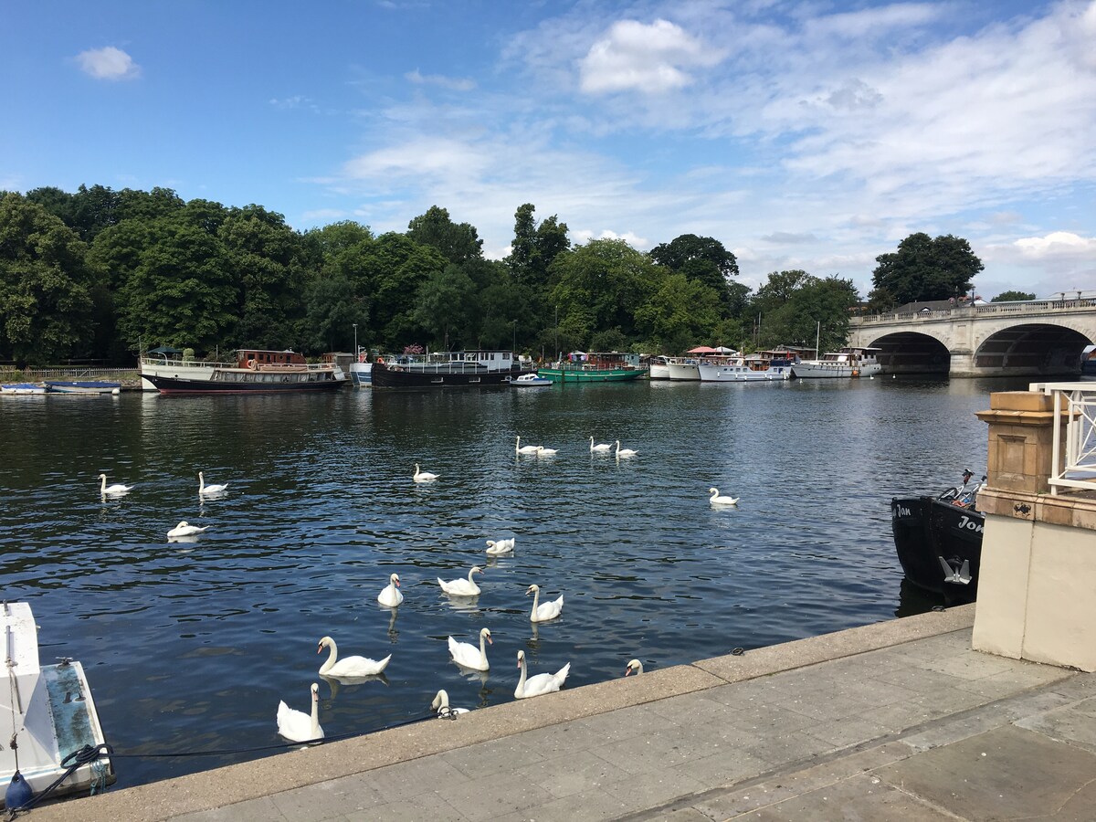 The image captures a serene riverside scene featuring multiple swans gliding along the water's surface. Various boats are anchored nearby, with lush trees lining the riverbank in the background. A stone pathway edges the river, providing a peaceful ambiance beneath a partly cloudy sky.