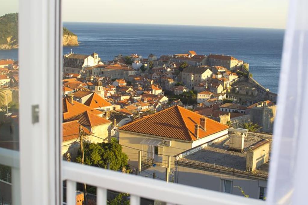 view