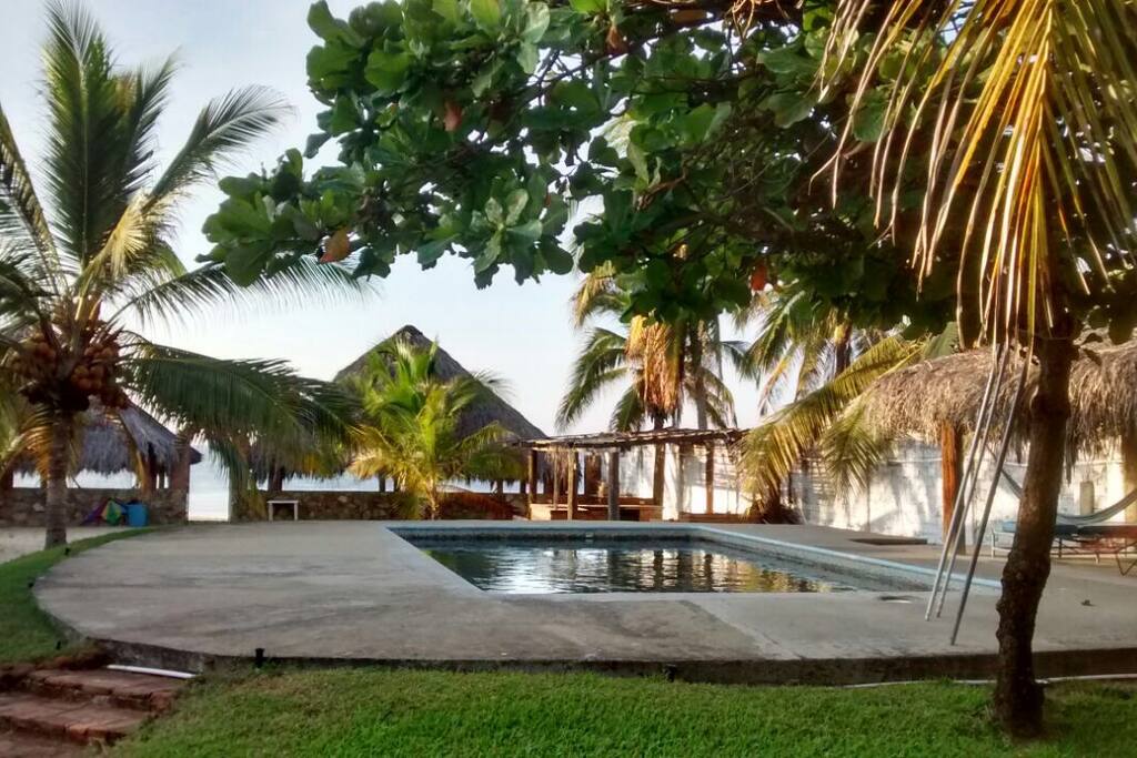 Cuenta con alberca y palapa para realizar eventos, fiestas o para descansar en una cómoda hamaca!