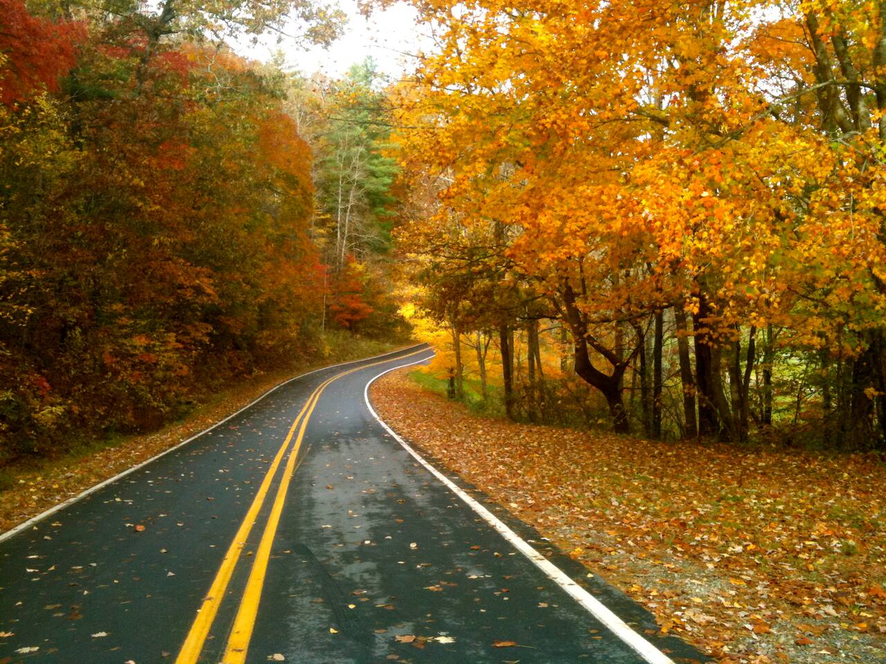 Ivyriverlodge 4 Close To Asheville Cabins For Rent In Weaverville