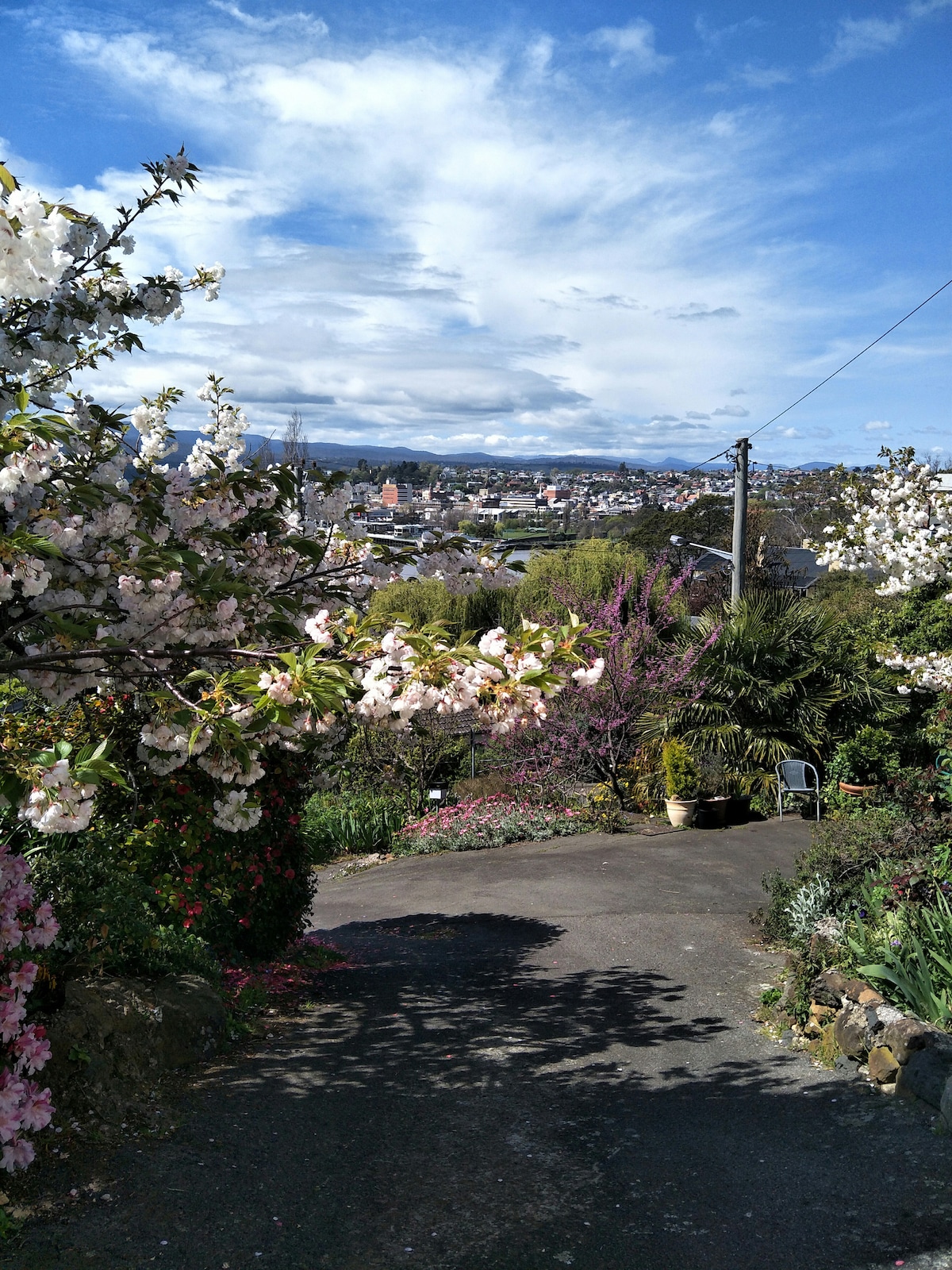 A vibrant garden path is lined with blooming trees, showcasing delicate pink flowers. The scenic view reveals the city landscape in the distance, framed by lush greenery and colorful flora. A peaceful, inviting atmosphere is created within this natural setting.