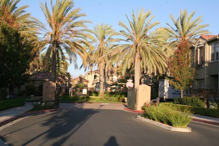 Spacious + Comfort + Pool + Location: Perfect Spot gallery image 5