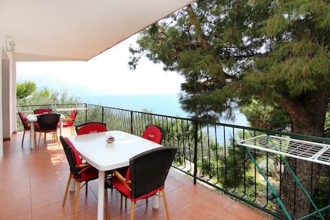 Top performing Airbnb: 4 exclusive apartmentANA APARTMANI Marušići(Ap #3) in Marunčići