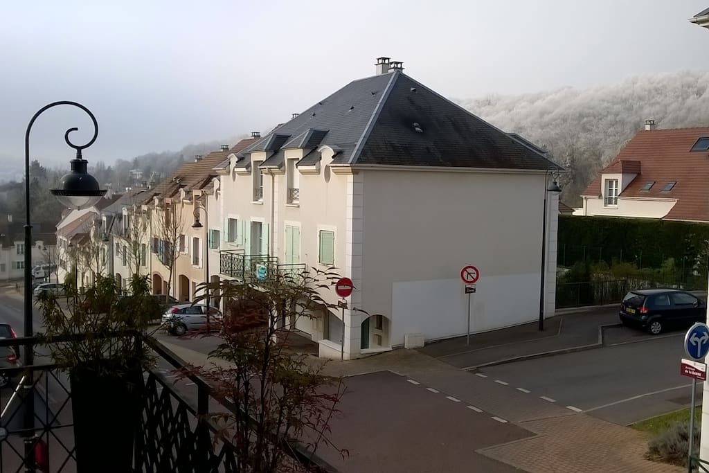 Vue sur le givre des "Bois Brûlés" belles randonnées, et village de Vauhallan du balcon de la salle à manger.