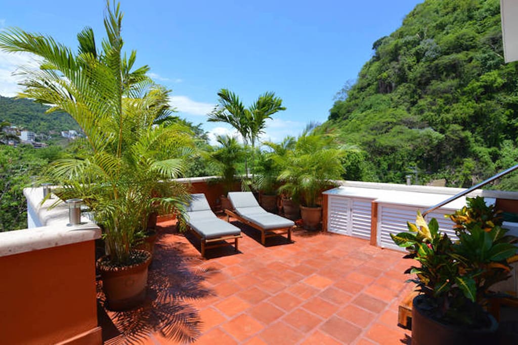 Rooftop Sunning Deck