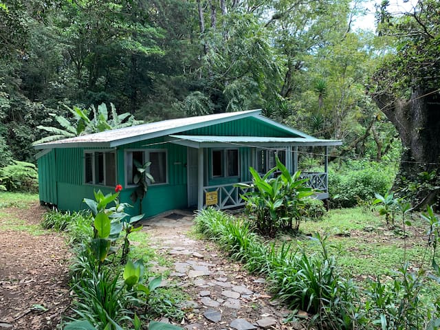 La Perezosa House - Green Paradise Homes
