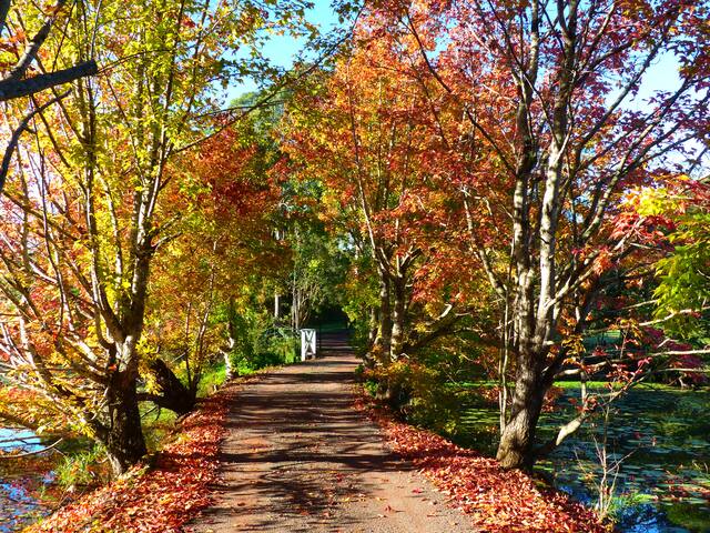McCarthy Lake House Maleny a Home away from Home gallery image 2