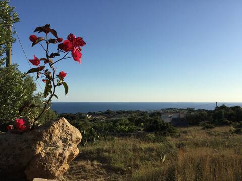Proprietà Airbnb di successo: Studio apartment surrounded by olive trees! a Patù