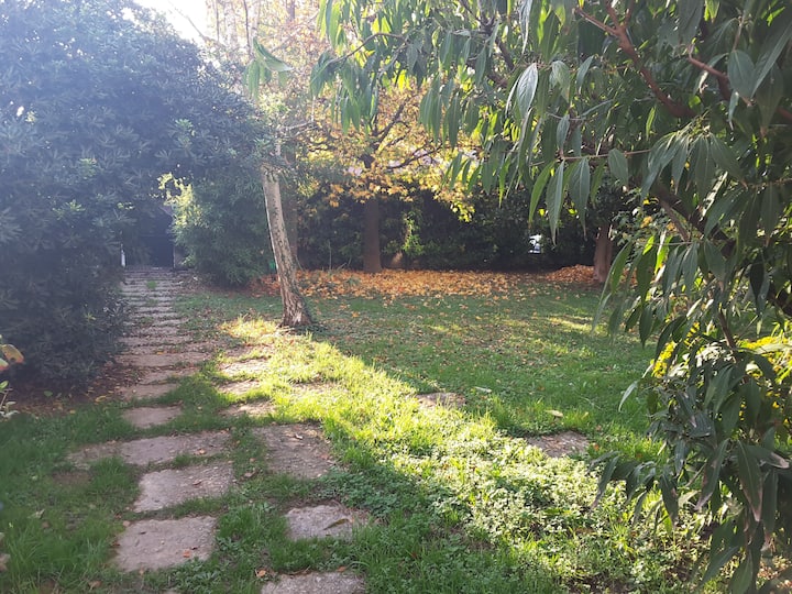 149x2 Apartments for Rent in Padua, Italy Airbnb