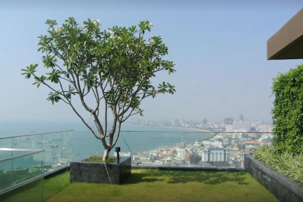 42nd floor sky garden for relax, yoga and Taichi