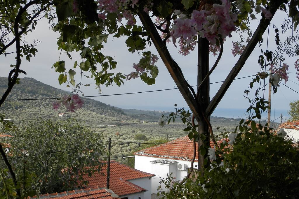Seeview
