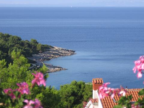Apartment with sea view terrace