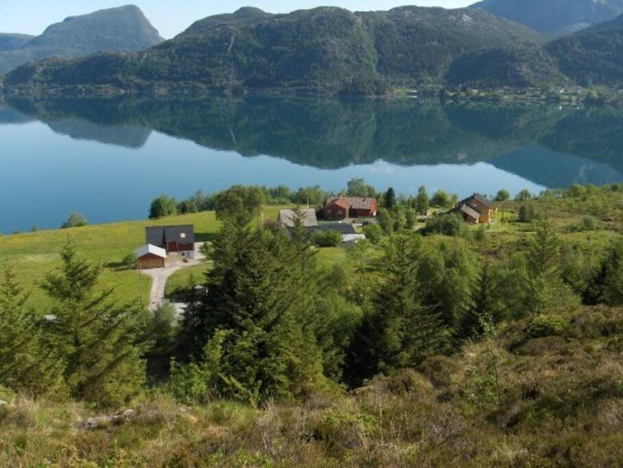 The house located in the middle og the picture, just behind the trees