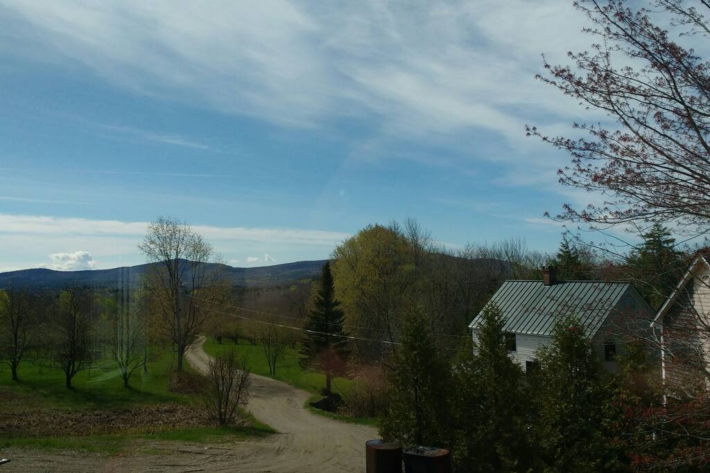 Looking from living room toward orchard.