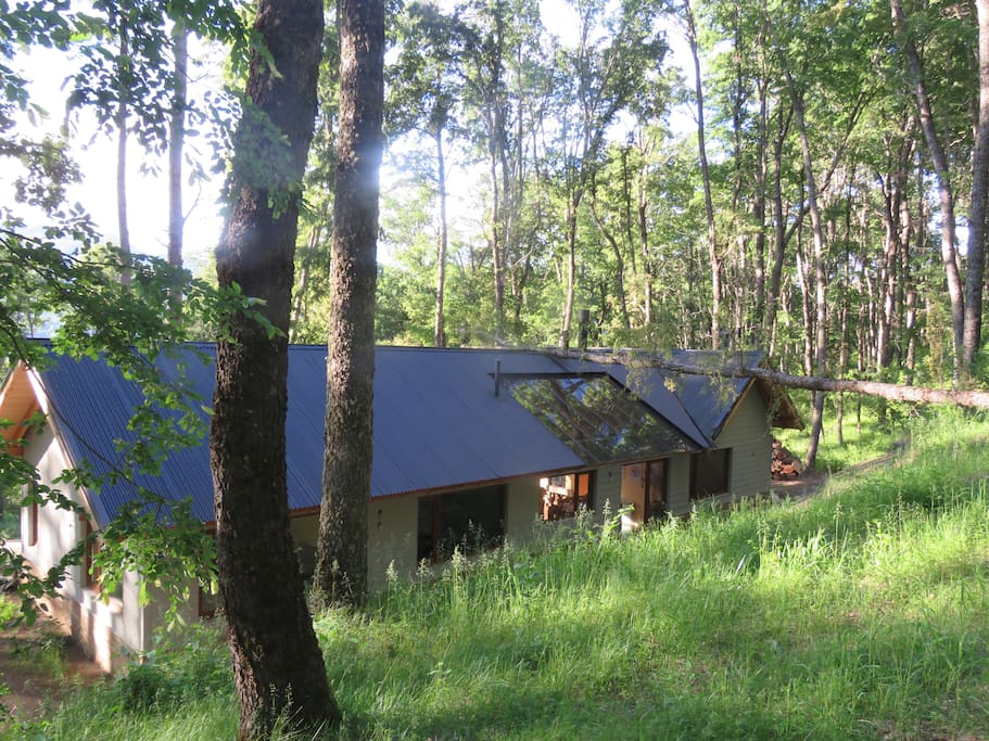 casa desde el boosque