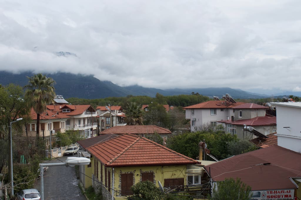 View from Mustard Room
