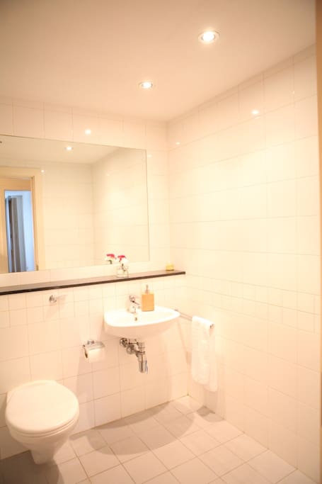 Large Bathroom