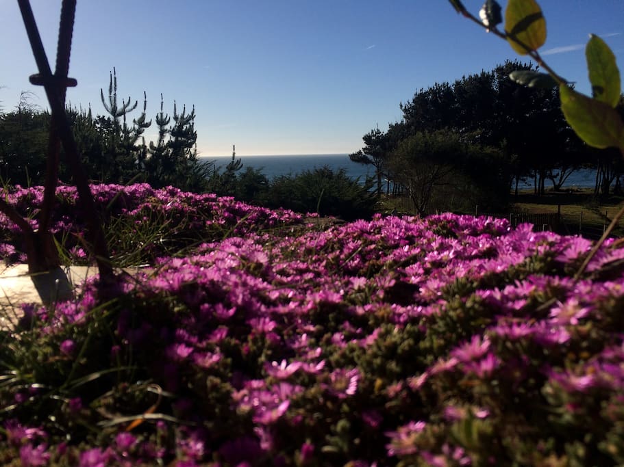 Parte del jardín Florido y sus Vistas