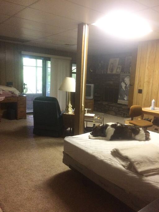 View from bathroom into open space (dog not included)