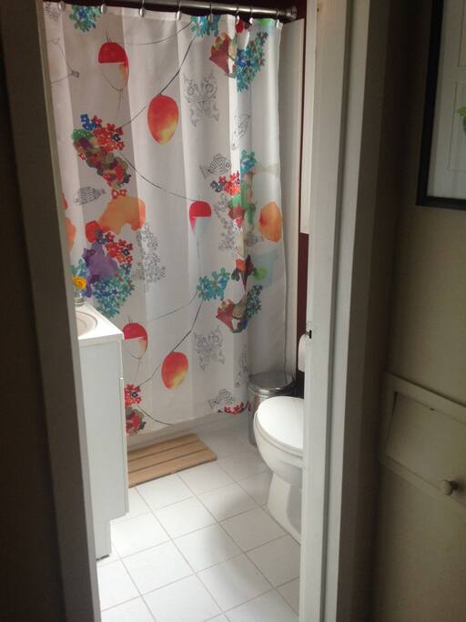 Full guest bathroom is down the hall from your room.