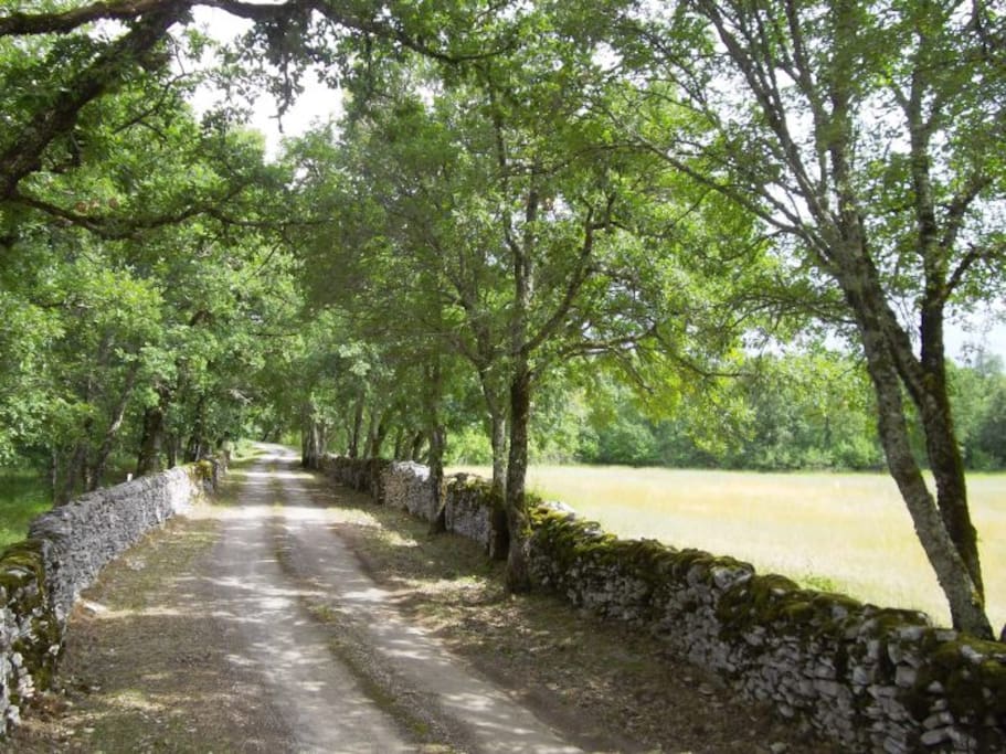 Le chemin d'entrée