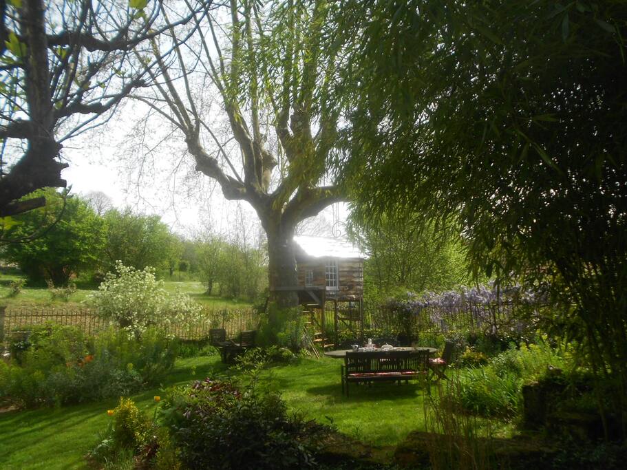 Tree house and boat swing on the large plane tree in the front garden
