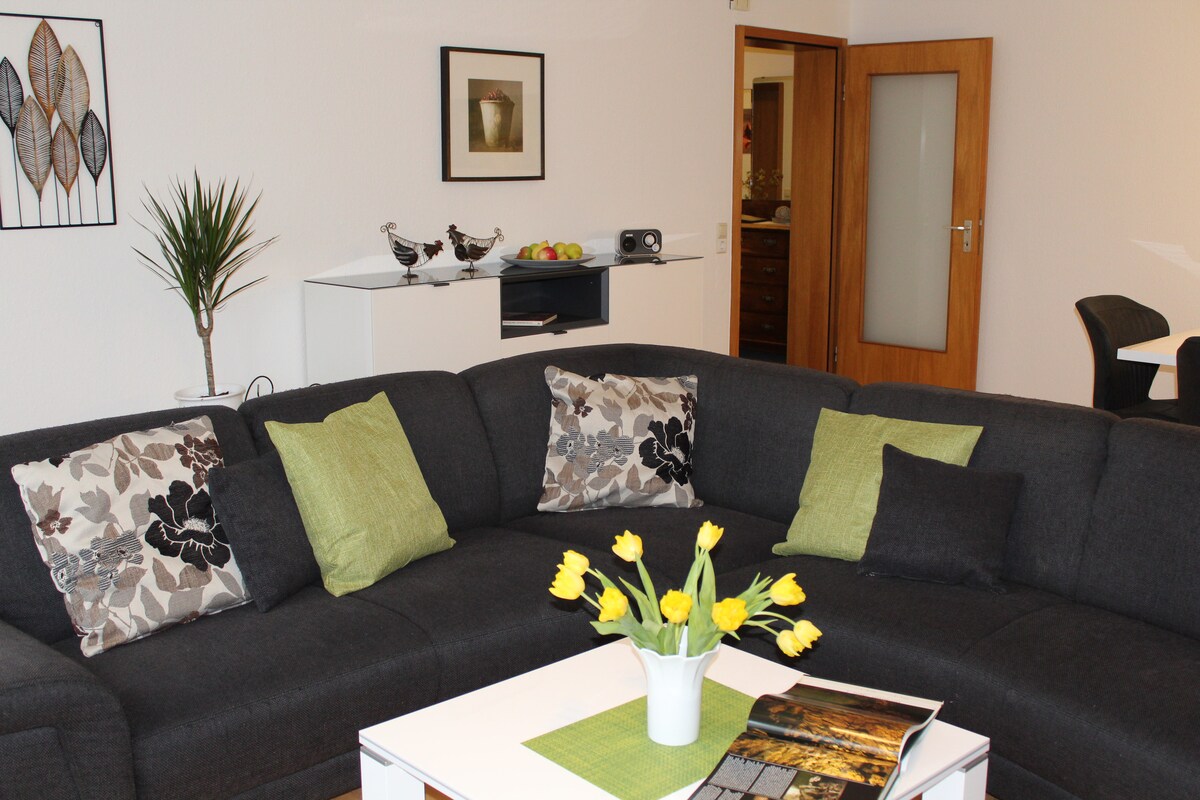 带沙发床的起居区