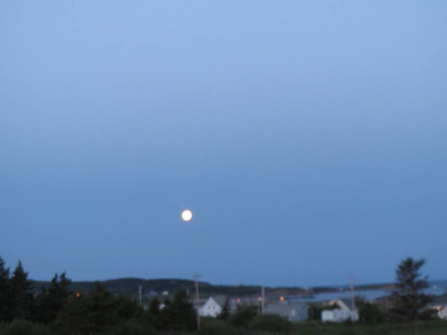 a morning moon
