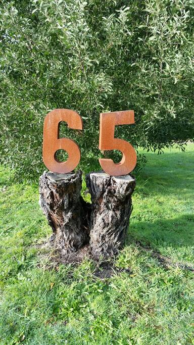 65