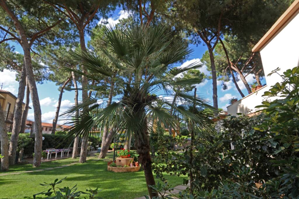 Il nostro giardino