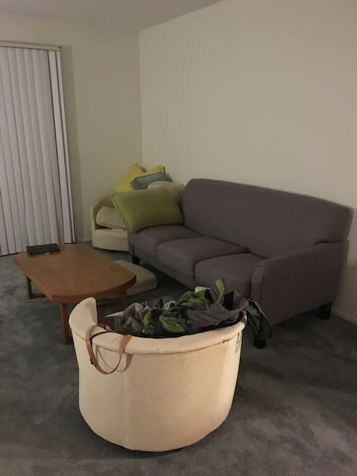 Couch (if male, will sleep here)
