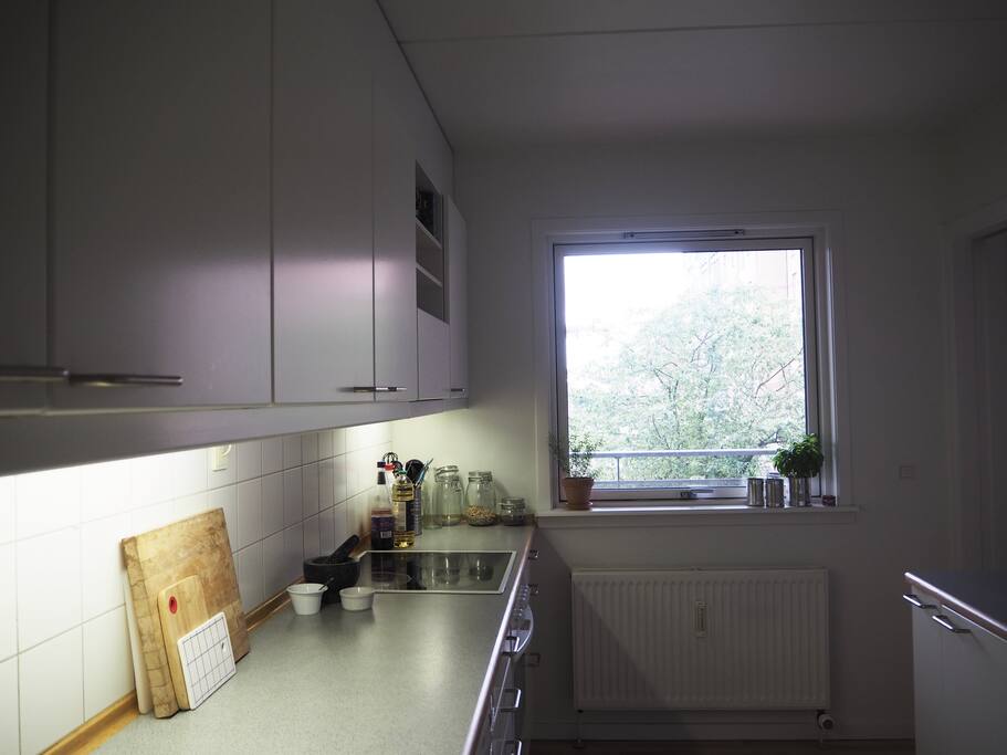 Large kitchen