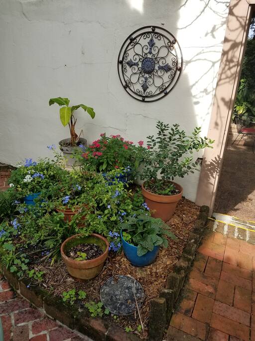 Enjoy your shares charming courtyard:)