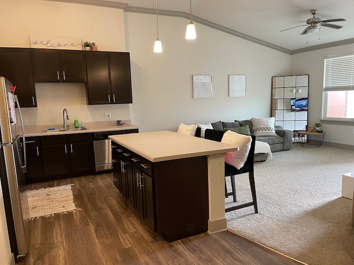 New Port Richey Vacation Rentals Airbnb