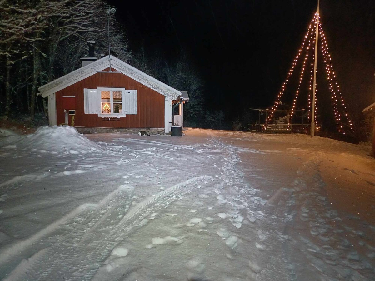 A charming red cabin is depicted amidst a snowy landscape, illuminated softly by lights. Snow trails lead to the entrance, while evergreen trees frame the scene, creating a serene winter atmosphere. The cabin features large windows, allowing a warm glow to escape into the night.
