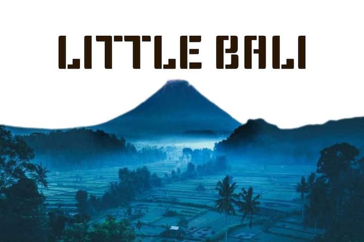 Holiday Homes & Apartment Rentals - Airbnb