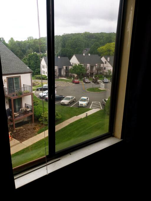 View From Bedroom