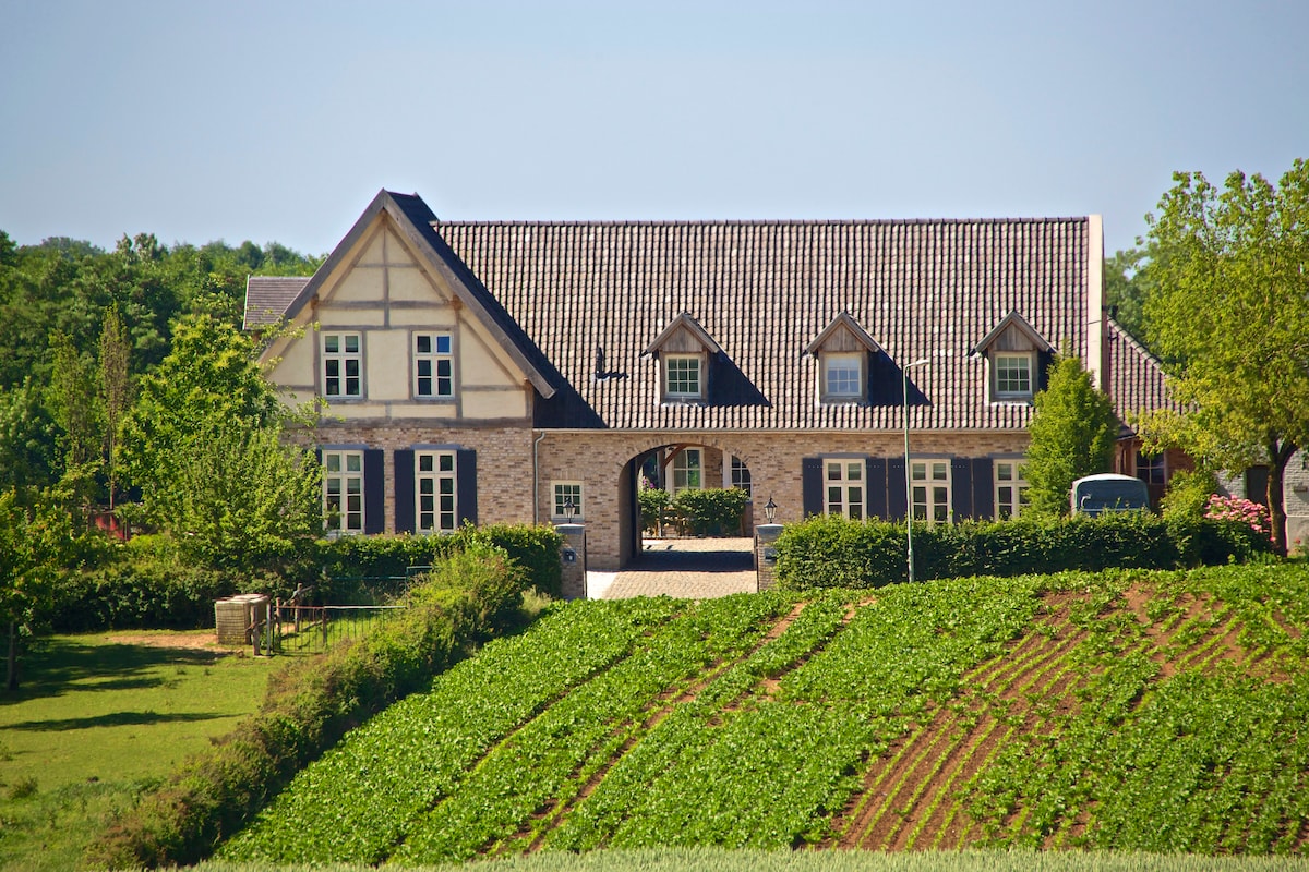 A spacious, two-story limestone house features a characteristic pitched roof with wooden accents. Large windows invite natural light, framing scenic views of the surrounding greenery and neatly arranged hillside. A well-maintained garden provides a welcoming entrance to the property.