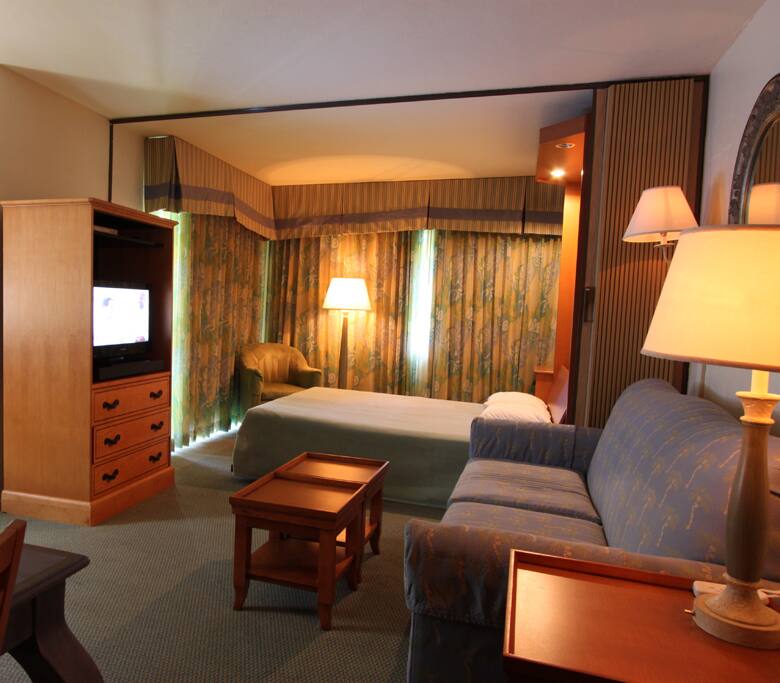 Studio unit with a Murphy bed and pull out sleeper sofa