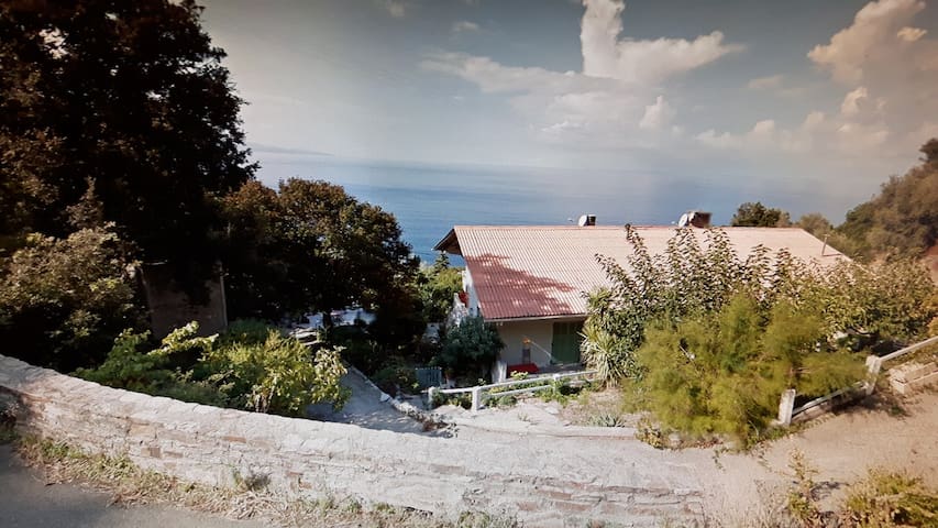 appartement jardin cap corse canari