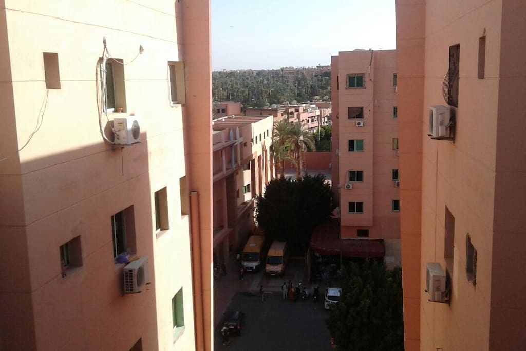 view from the roof