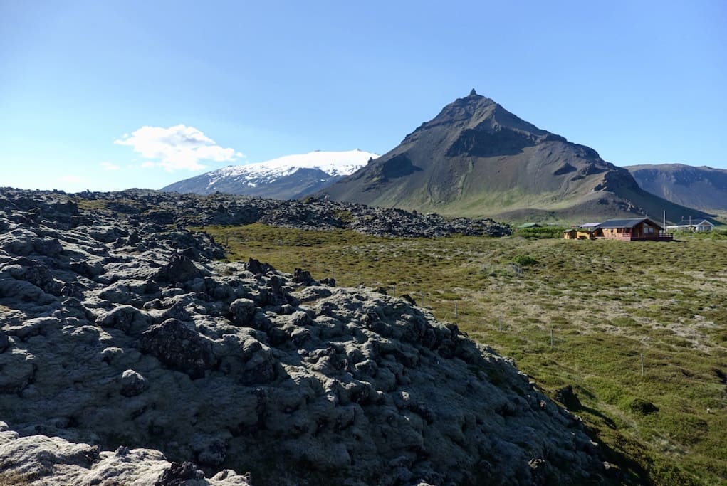 The House & Surroundings